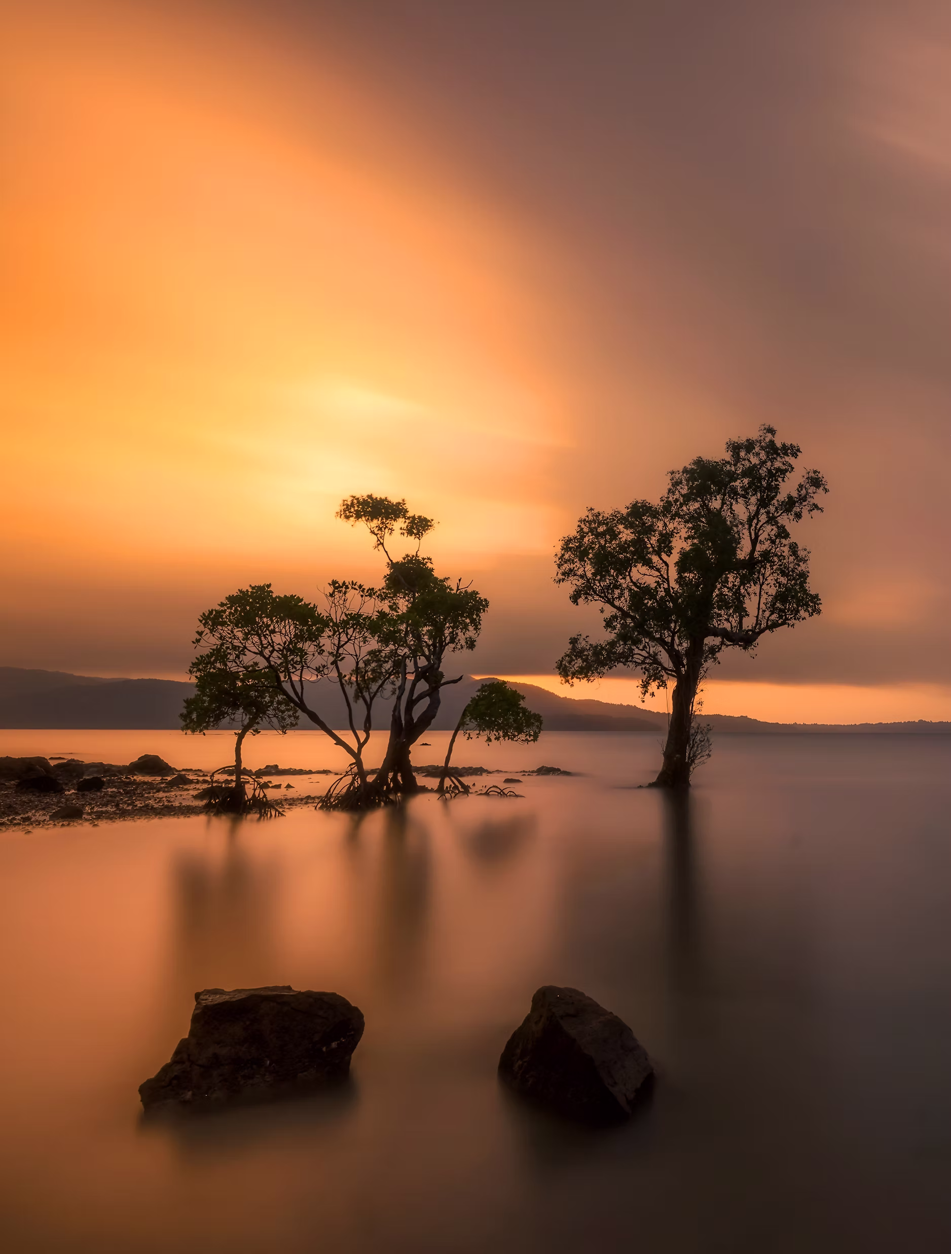 Mangrove trees reflected in calm Andaman waters at sunset