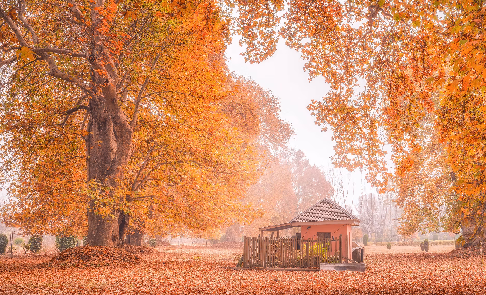 Kashmir and Kargil landscape photograph